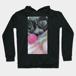 Kitten T-shirt Hoodie